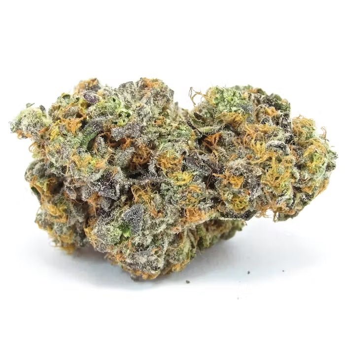 Gary Payton THCA Flower - Outer Space Distribution