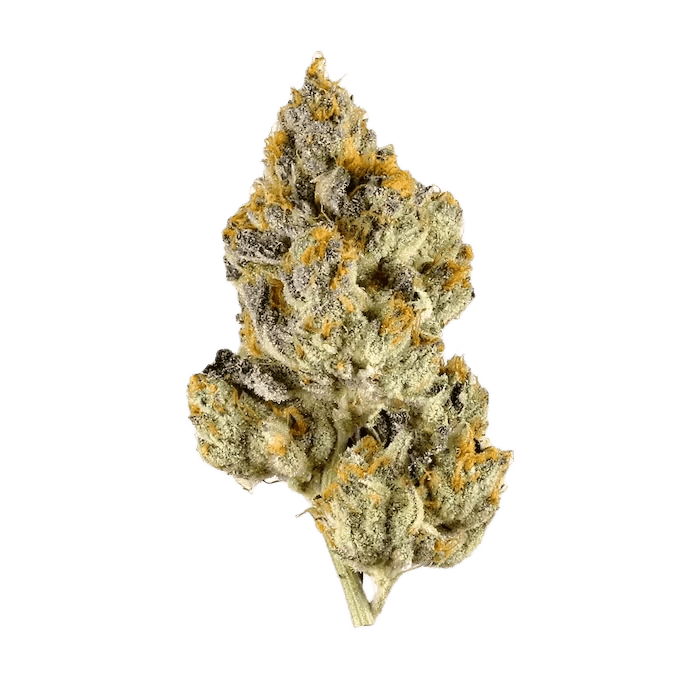 Ice Cream Cookies THCA Flower - Outer Space Distribution