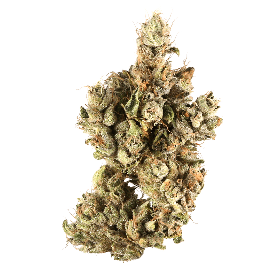 Strain of the Month - Outer Space Distribution