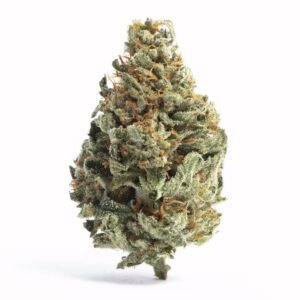 Gold Cash THCA Hemp Flower: Elevating Luxury in Every Leaf - Outer Space Distribution