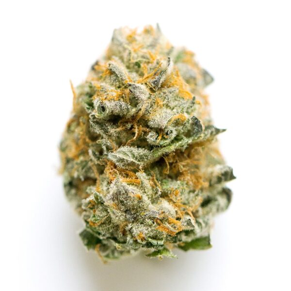 RS11 THCA Flower: A Relaxing and Fruity Hybrid Strain - Outer Space Distribution